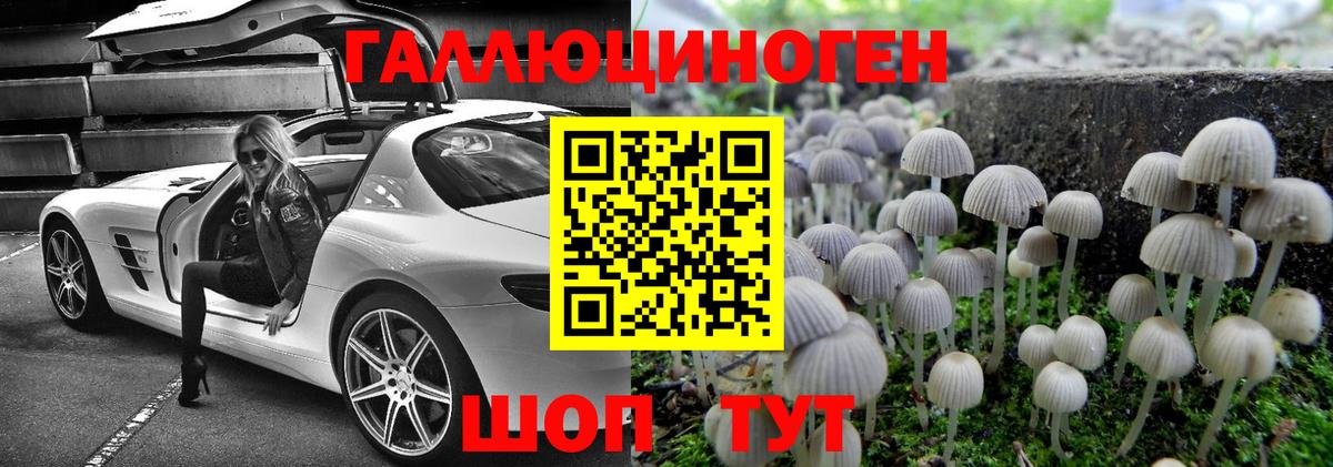 Псилоцибиновые грибы Cubensis Заволжье